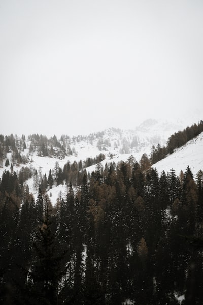 白天被雪覆盖的山
